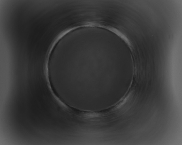 X0000099991239200806061537