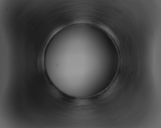 X0000099991242200806061538