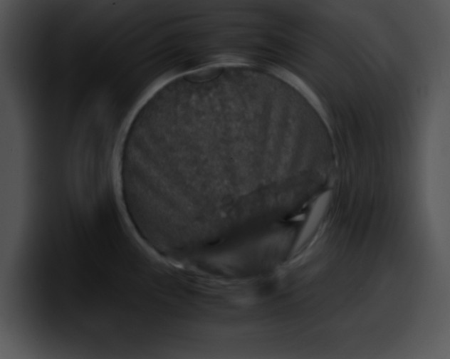 X0000099991243200806061538