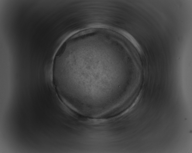 X0000099991244200806061538