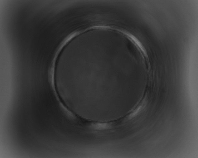 X0000099991245200806061538