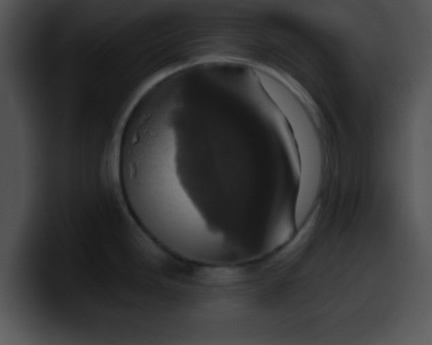 X0000099991246200806061538