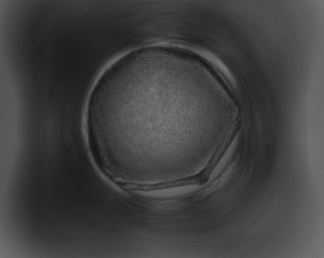 X0000099991247200806061538