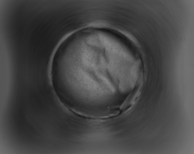 X0000099991248200806061538