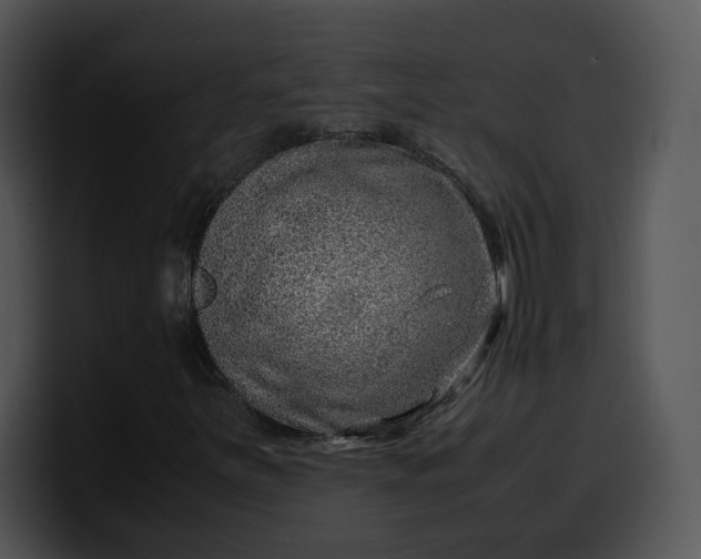 X0000099991251200806061537