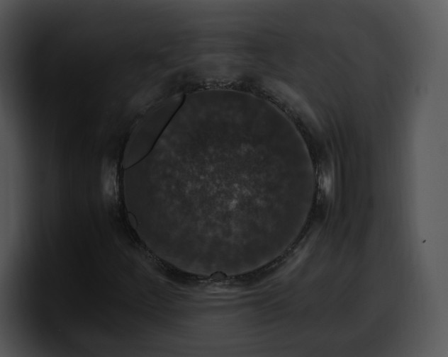 X0000099991252200806061537