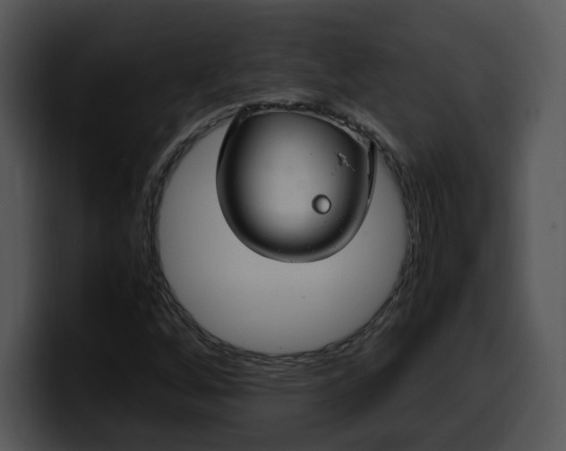 X0000099991256200806061537