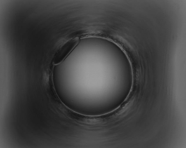 X0000099991257200806061537