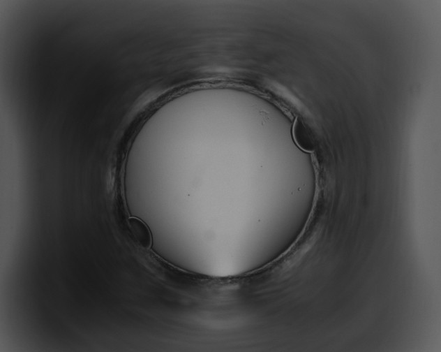 X0000099991259200806061537