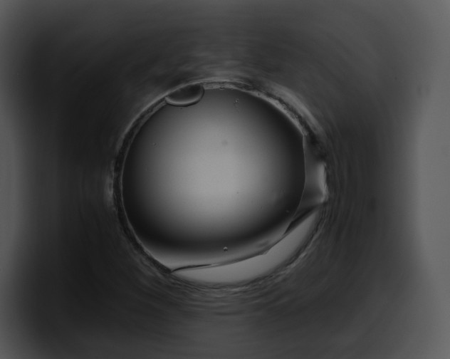 X0000099991260200806061537