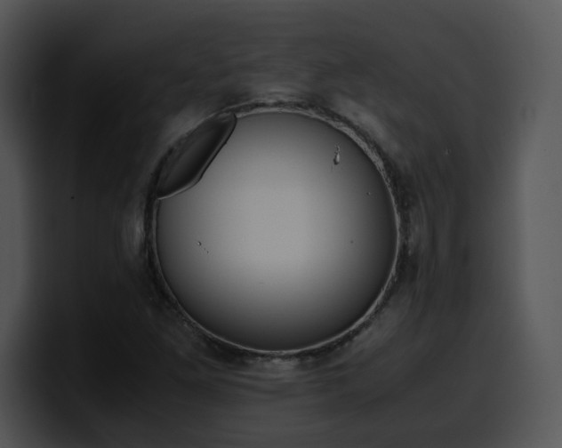 X0000099991261200806061537