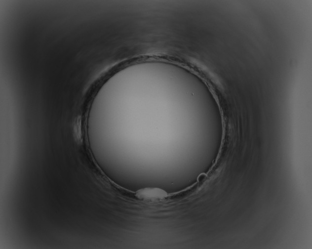 X0000099991262200806061537