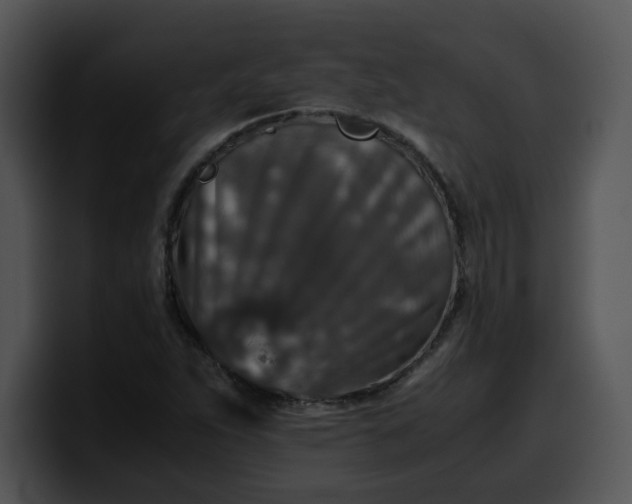 X0000099991263200806061537