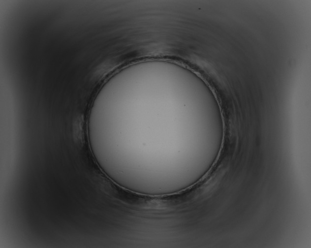 X0000099991265200806061537