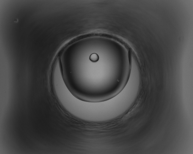 X0000099991271200806061537