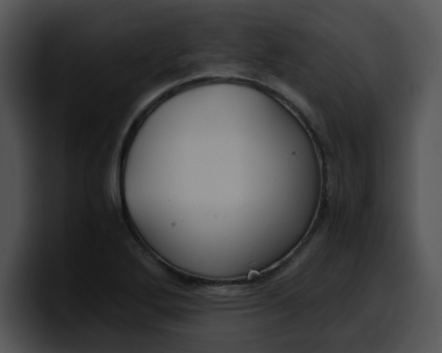 X0000099991272200806061537