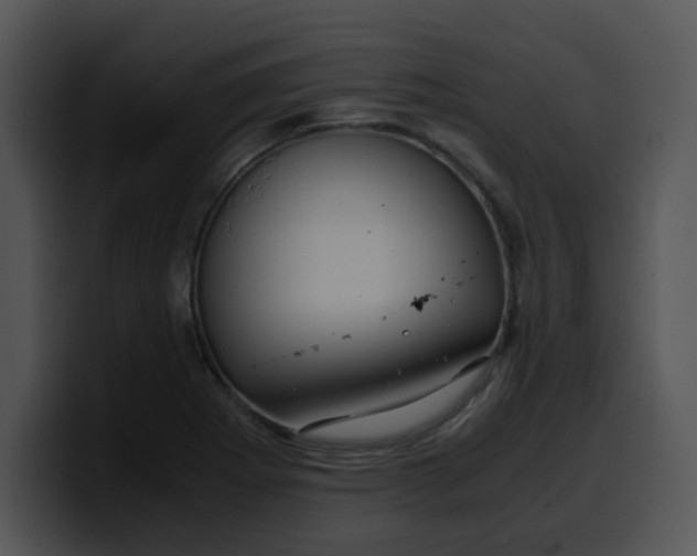 X0000099991273200806061537