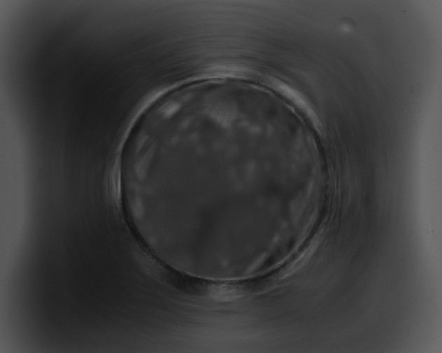 X0000099991275200806061537