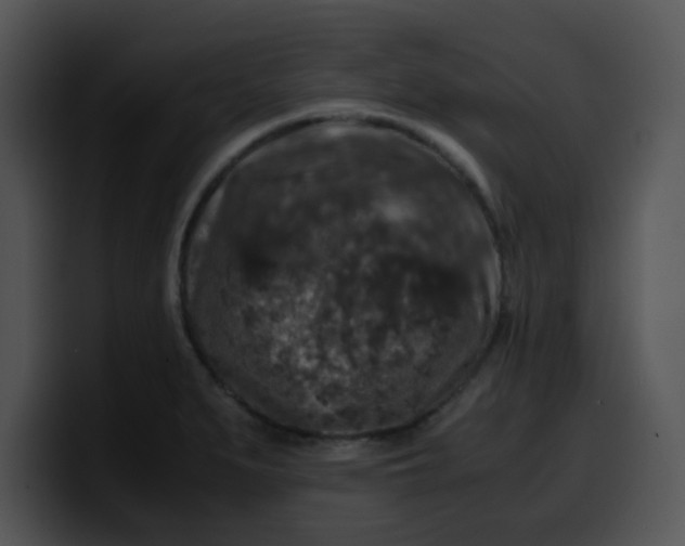 X0000099991279200806061537