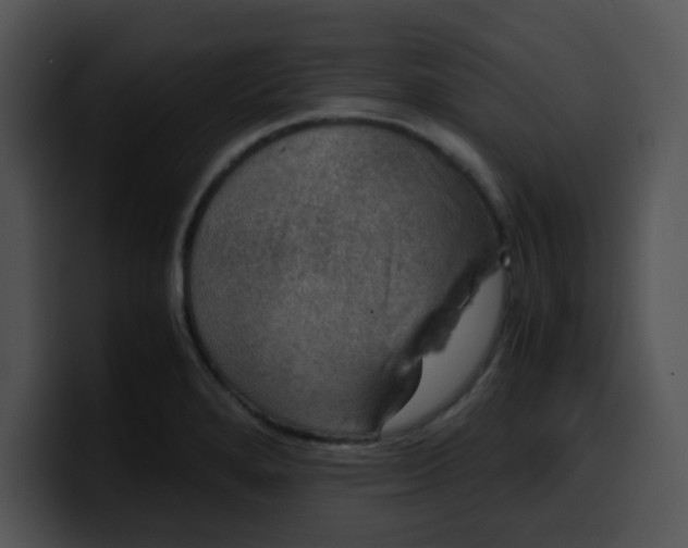 X0000099991280200806061537