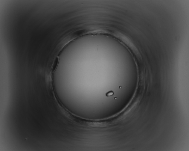 X0000099991281200806061537