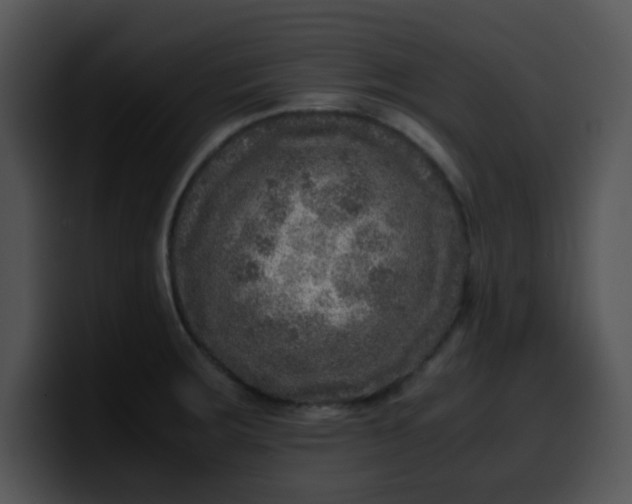 X0000099991283200806061536