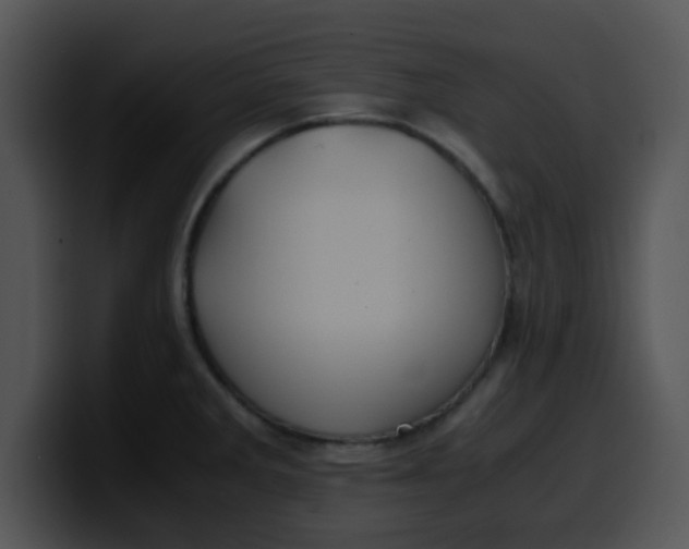 X0000099991285200806061536