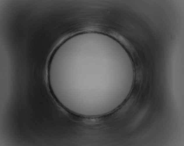 X0000099991286200806061536