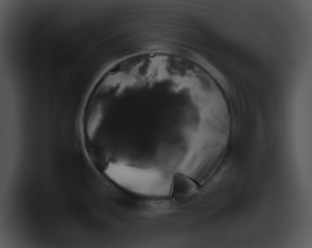 X0000099991291200806061536