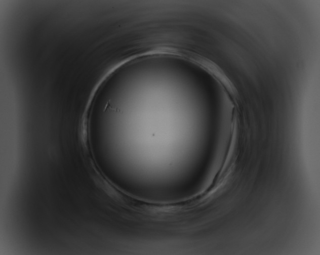X0000099991292200806061536