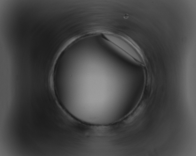 X0000099991293200806061536
