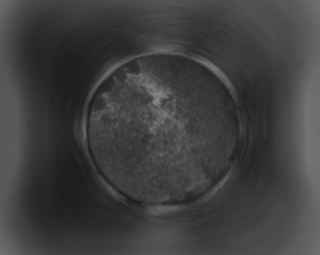 X0000099991294200806061536