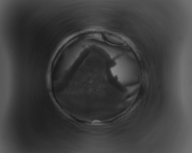 X0000099991295200806061536