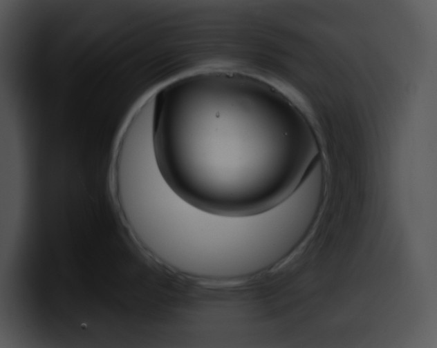X0000099991296200806061536
