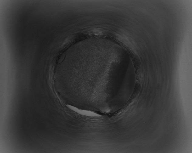 X0000099991297200806061536