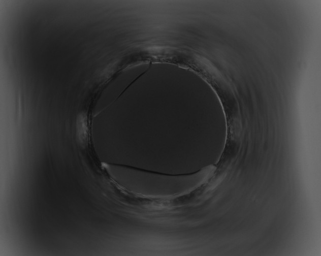 X0000099991298200806061536
