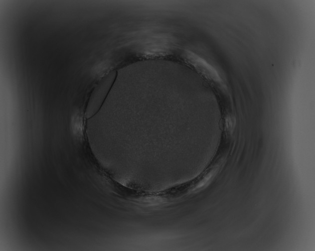 X0000099991300200806061536