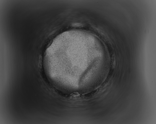 X0000099991301200806061536