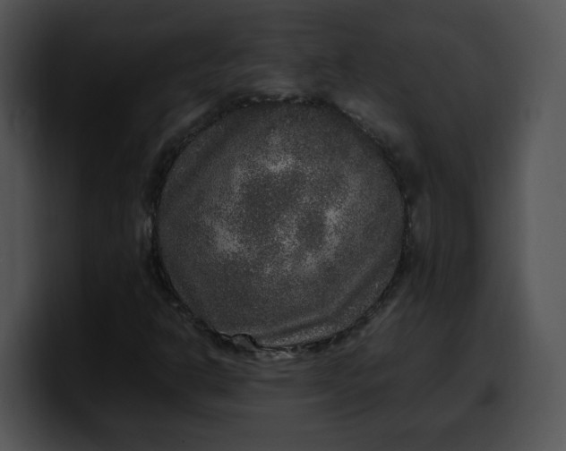X0000099991302200806061536