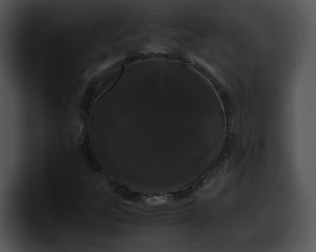 X0000099991303200806061536