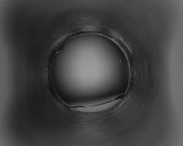X0000099991304200806061536