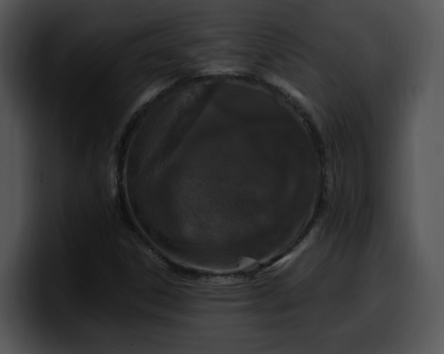 X0000099991306200806061536