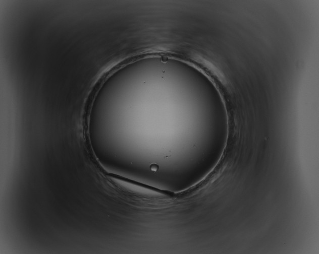X0000099991308200806061536
