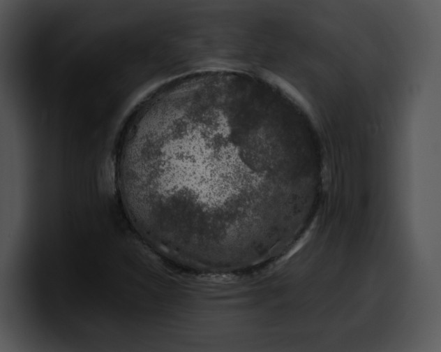 X0000099991310200806061536