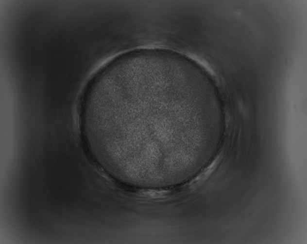 X0000099991311200806061536