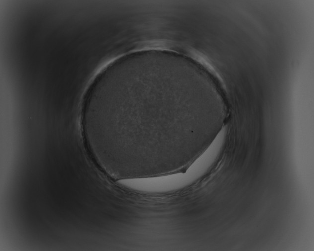 X0000099991312200806061536