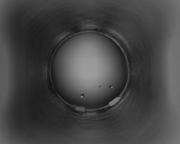 X0000099991313200806061536