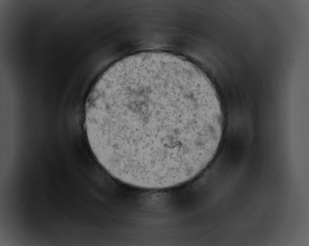 X0000099991314200806061536