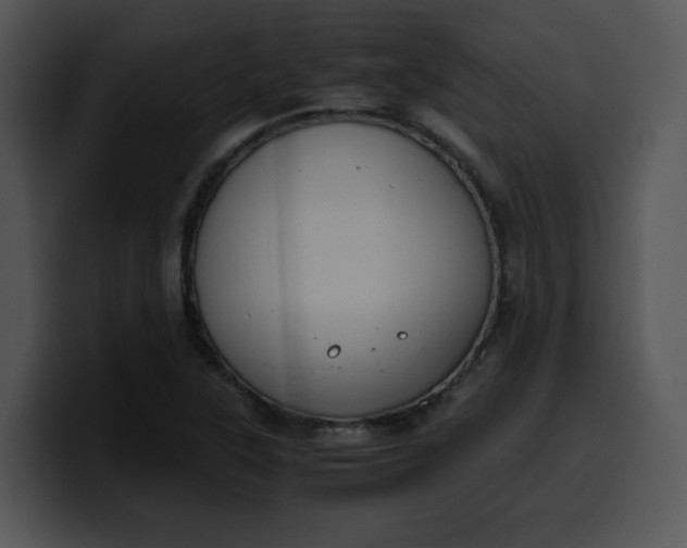 X0000099991315200806061536