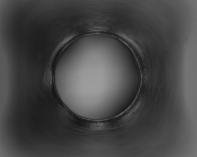 X0000099991317200806061536